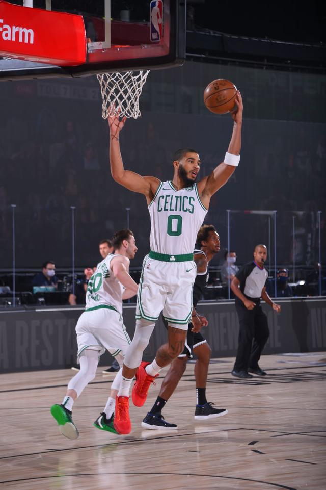 的稳定性受 的稳定性受